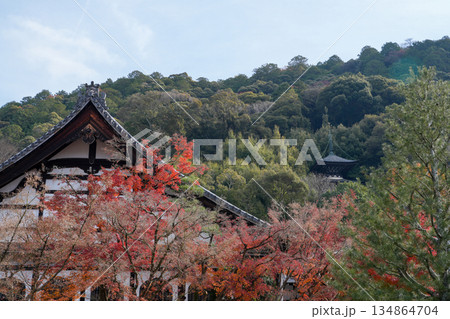 秋の京都・東山の永観堂 秋の京都・東山の永観堂 134864704