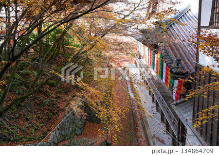 秋の京都・東山の永観堂 秋の京都・東山の永観堂 134864709