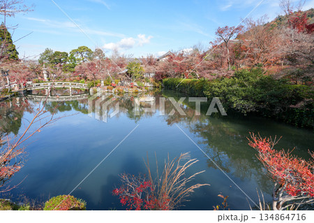 秋の京都・東山の永観堂 134864716
