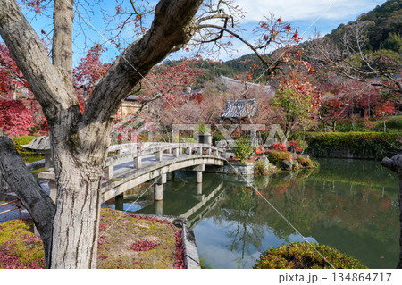 秋の京都・東山の永観堂 秋の京都・東山の永観堂 134864717