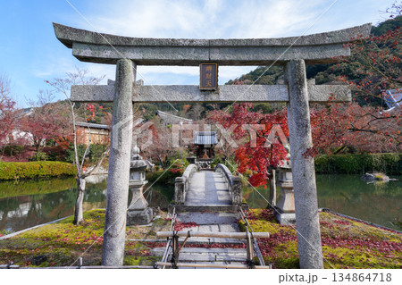 秋の京都・東山の永観堂 134864718