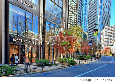 麻布台ヒルズの街並み 134864763