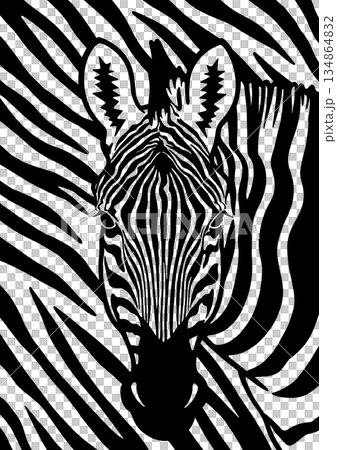 斑馬的臉 134864832