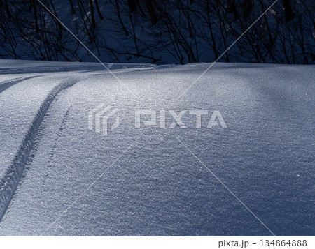 雪に覆われた森 冬景色 長野県白馬村 雪に覆われた森 冬景色 長野県白馬村 134864888