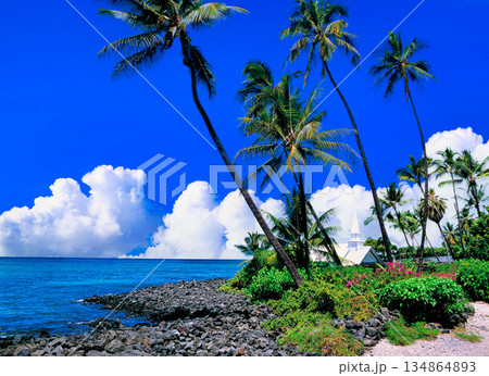 カイルア・コナのセント・ピータース教会の景観 134864893