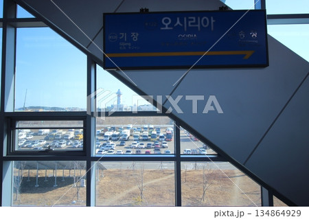 韓国釜山観光BESTスポット、韓国のマチュピチュ甘川文化村、海鮮サムギョプサル 134864929
