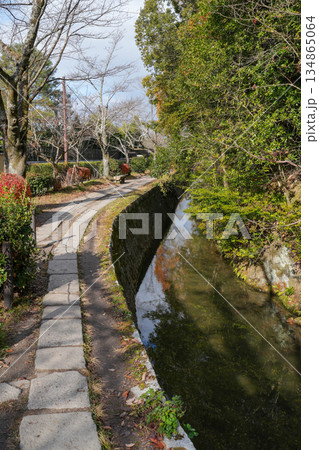 秋の京都・東山の「哲学の道」 秋の京都・東山の「哲学の道」 134865064