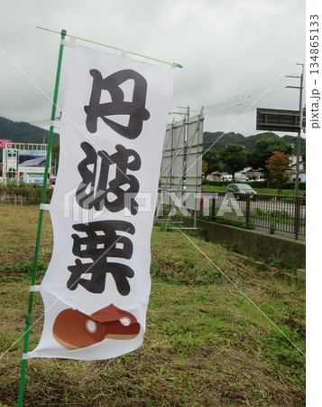 丹波栗 134865133