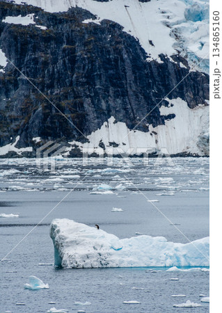 Landscape of the Antarctic Peninsula 134865160