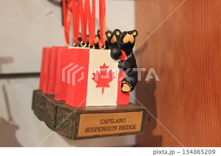 北米を代表する多文化都市バンクーバーのおすすめ観光スポット、スタンレーパーク他、プーティンポテト 134865209