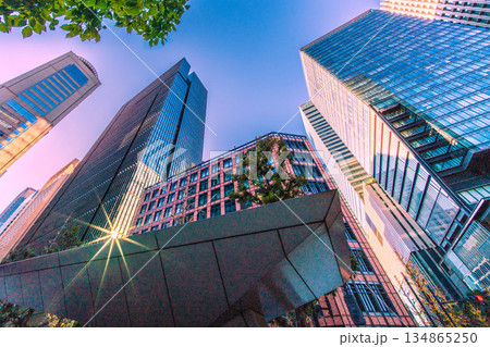 日本の東京都市景観赤信号と輝き…珍景。奇跡の反射光…年末の大手町。冬晴れ…光と影のビジネス界 134865250