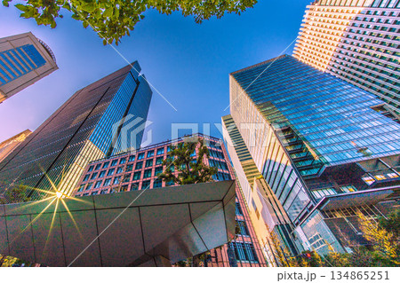 日本の東京都市景観明暗分けるビジネス界…珍景。奇跡の反射光…年末の大手町。冬晴れ…光と影、赤信号も… 134865251