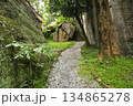 old stone path in the green forest 134865278