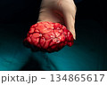Abnormal Brain cortex causing epilepsy in Surgeon Gloved Hand 134865617