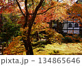 紅葉に包まれた東屋 134865646