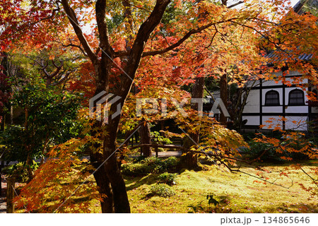 紅葉に包まれた東屋 134865646