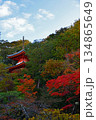 紅葉に包まれる多宝塔 134865649
