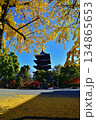 東寺の五重塔と黄葉 134865653