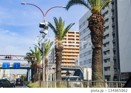 国道310号線/大阪府堺市堺区翁橋町8 国道310号線/大阪府堺市堺区翁橋町8 134865862
