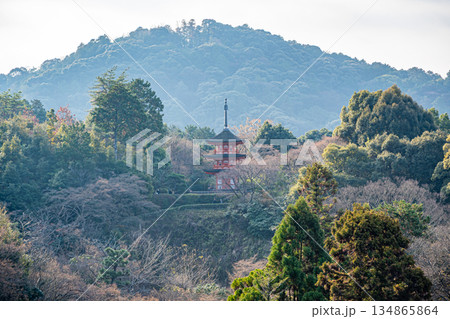 清水寺 子安塔 134865864