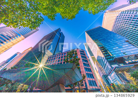 日本の東京都市景観光と影…明暗分けるビジネス界…珍景。奇跡の反射光や赤信号…冬晴れ…年末の大手町 134865929