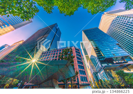 日本の東京都市景観赤信号と輝き…珍景。奇跡の反射光…年末の大手町。冬晴れ…明暗分けるビジネス界 134866225