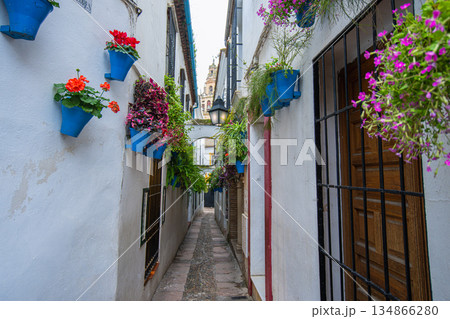 Narrow flower street Calleja de las Flores in Cordoba Spain. 134866280