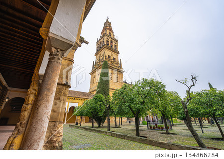 Bell Tower and Orange Tree Courtyard of Mezquita Cordoba in Spain. Bell Tower and Orange Tree Courtyard of Mezquita Cordoba in Spain. 134866284