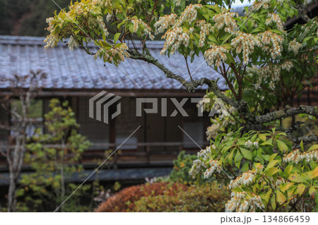 春の中山道・妻籠宿 134866459