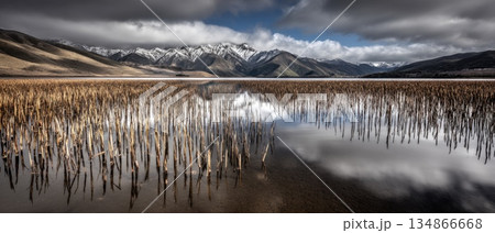Tranquil Alien Valley with Glowing Reeds Swaying Under Dramatic Cloudy Sky Tranquil Alien Valley with Glowing Reeds Swaying Under Dramatic Cloudy Sky 134866668