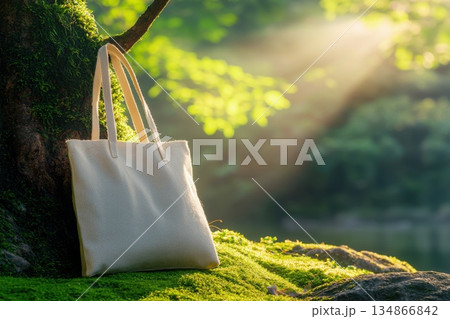 Elegant Plain White Tote Bag Displayed in Natural Outdoor Environment 134866842