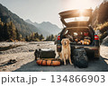 Dog Enjoys Scenic Nature View from Car Trunk with Luggage and Mountains in the Background 134866903