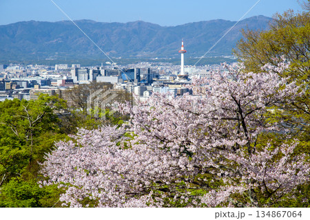 清水寺から見る京都の街並み 清水寺から見る京都の街並み 134867064