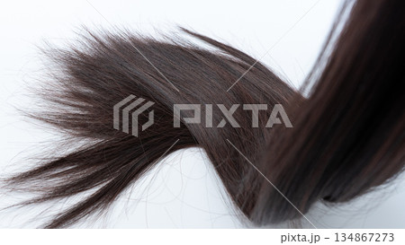 Long, silky dark brown hair flowing gracefully against a clean white background, showcasing texture and movement in a captivating manner Long, silky dark brown hair flowing gracefully against a clean white background, showcasing texture and movement in a captivating manner 134867273