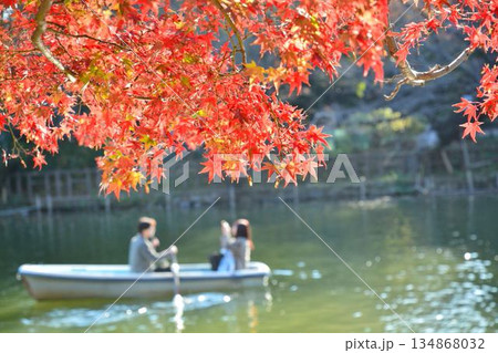 紅葉の井の頭公園 134868032