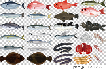 Seafood illustrations and icons ② (tuna, sea bream, eel, salmon, pufferfish) 134868366