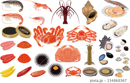 魚介類のイラスト・アイコン③（蟹、海老、ホタテ、牡蠣、うに、いくら） 134868367