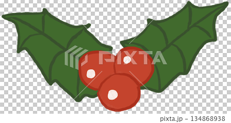 Holly Christmas Pattern Holly Christmas Pattern 134868938