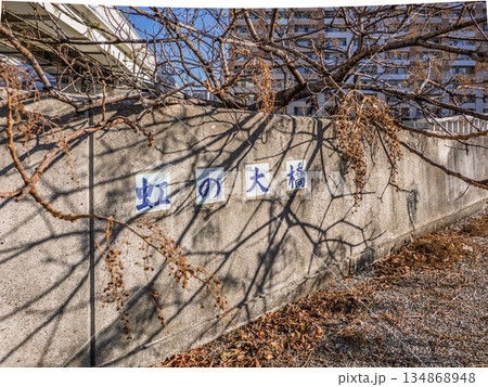 旧中川に架かる「虹の大橋」の橋名表示 旧中川に架かる「虹の大橋」の橋名表示 134868948