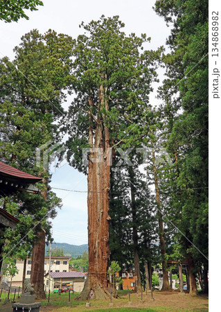 関川天神社（妙高） 134868982