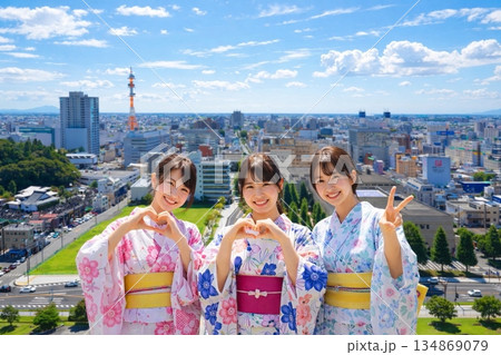 栃木県庁展望ロビーより県庁正門前　中央通り方面の街並みを望む 134869079