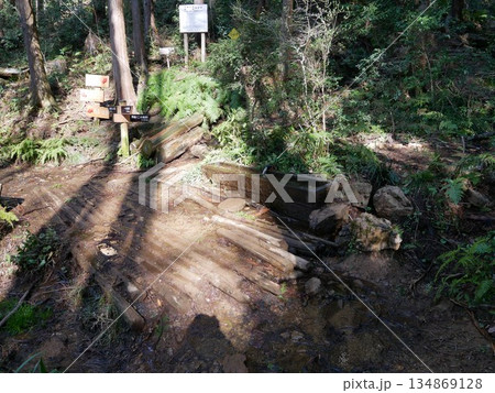 日和田山途中の道 134869128