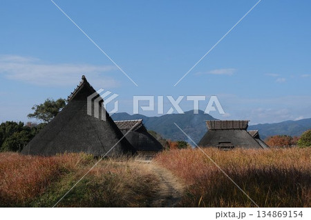 ススキのある風景 134869154