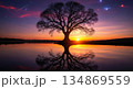 Lonely Tree Silhouette at Golden Sunset Reflection 134869559