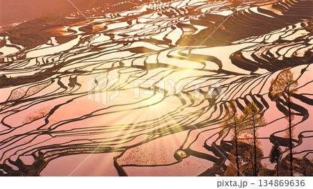 元陽の多依樹梯田の絶景 元陽の多依樹梯田の絶景 134869636