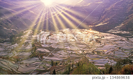 元陽の多依樹梯田の絶景 元陽の多依樹梯田の絶景 134869638