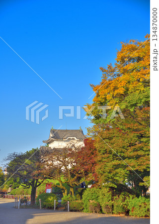 《愛知県》紅葉に染まる秋の名古屋城東南隅櫓 《愛知県》紅葉に染まる秋の名古屋城東南隅櫓 134870000
