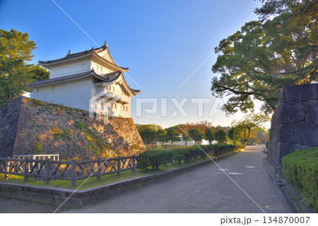 《愛知県》名古屋城東南隅櫓 134870007
