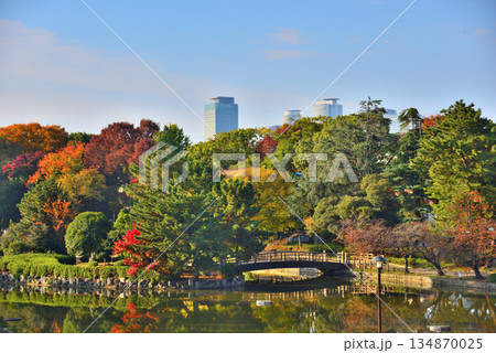 《愛知県》紅葉に染まる名古屋市名城公園 《愛知県》紅葉に染まる名古屋市名城公園 134870025
