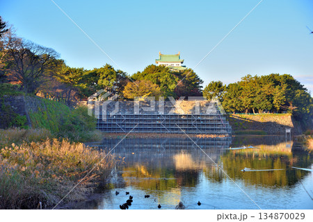 《愛知県》名古屋城天守閣と修復中の本丸搦手馬出の石垣 《愛知県》名古屋城天守閣と修復中の本丸搦手馬出の石垣 134870029
